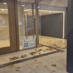 WhatsApp Image 2026-02-03 at 3.56.33 PM